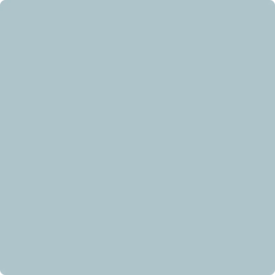 2135-50: Soft Chinchilla by Benjamin Moore