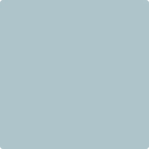 2135-50: Soft Chinchilla by Benjamin Moore