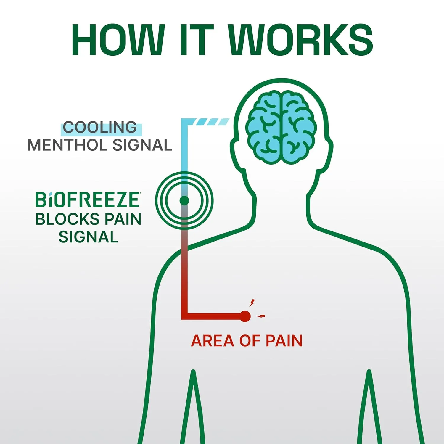 Biofreeze Professional Gel Pain Relief for Knee, Neck, Hip, Joint, Shoulder, & Simple Backache, Arthritis Pain Reliever, Sore Muscle Relief, Colorless Menthol Gel 32 Fl Oz