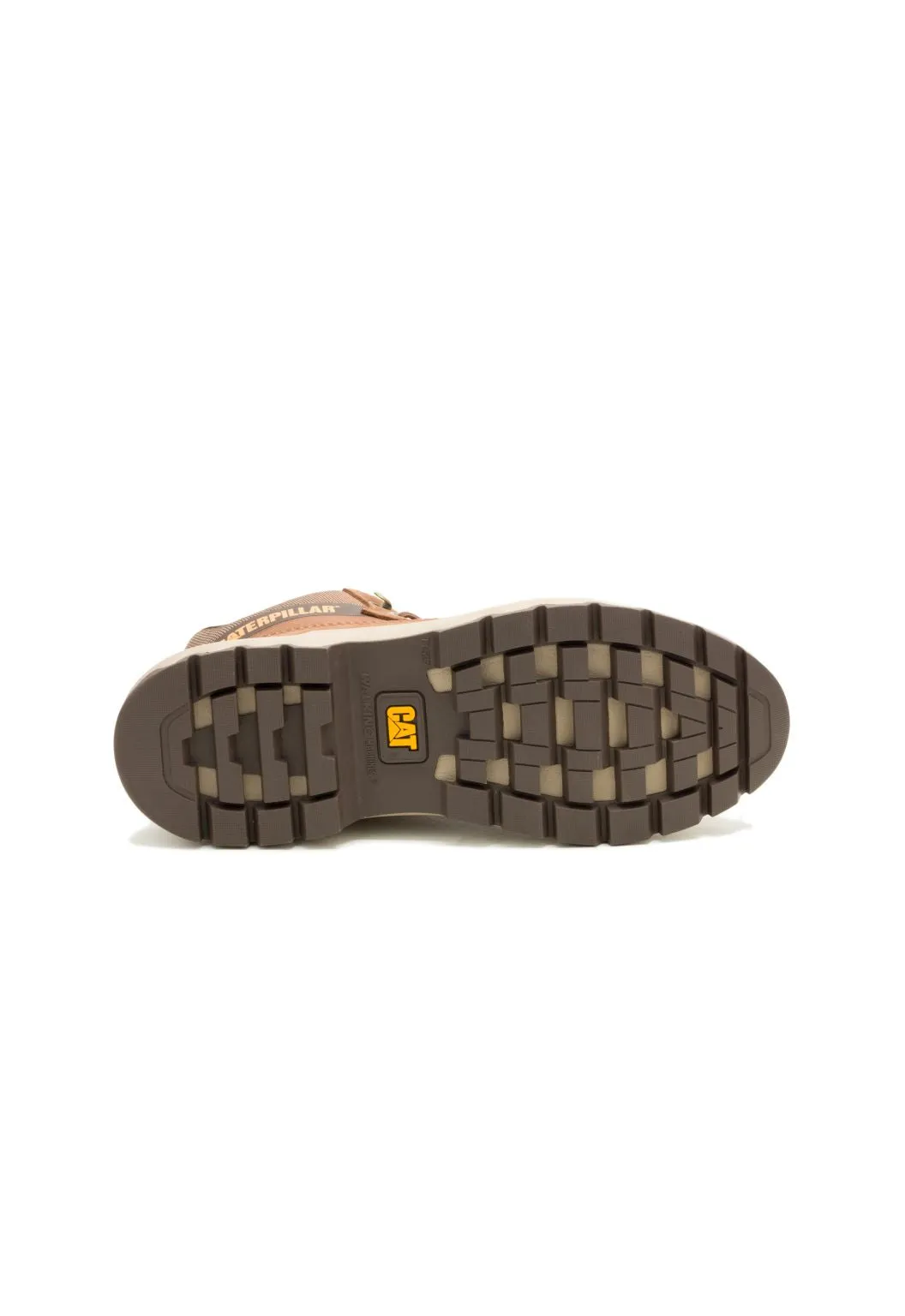 Colorado Sneaker Dachshund