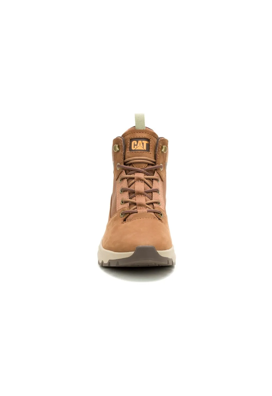 Colorado Sneaker Dachshund