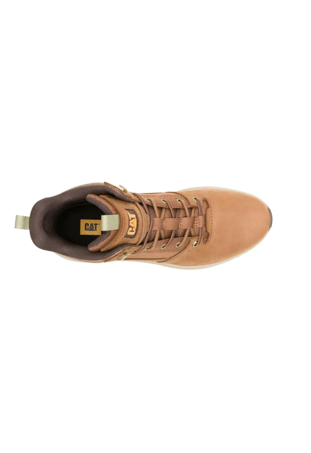 Colorado Sneaker Dachshund