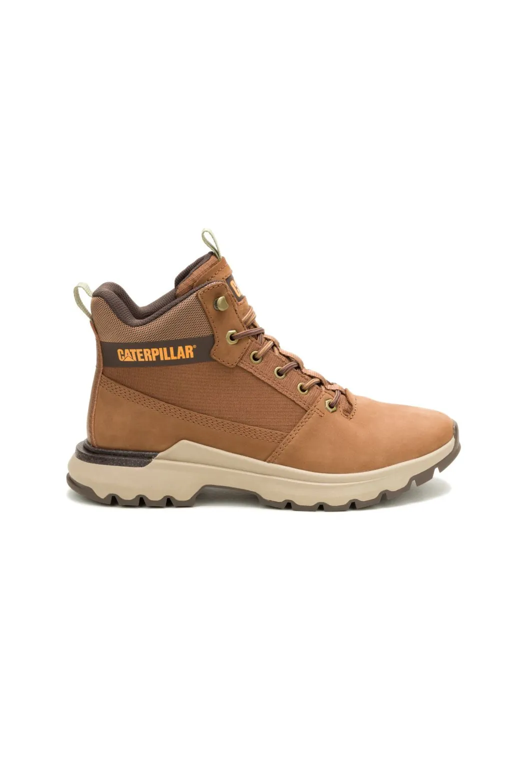 Colorado Sneaker Dachshund