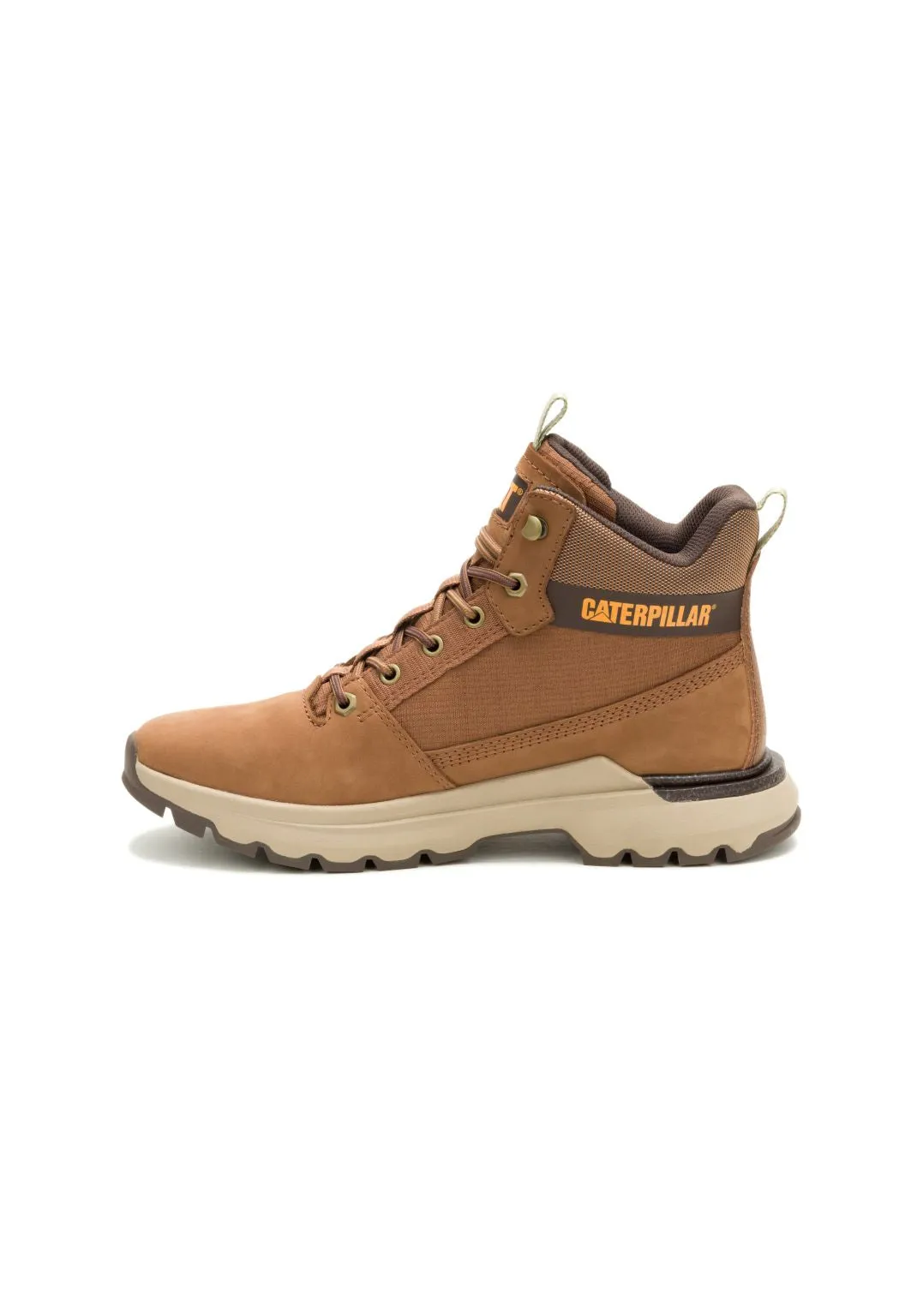 Colorado Sneaker Dachshund