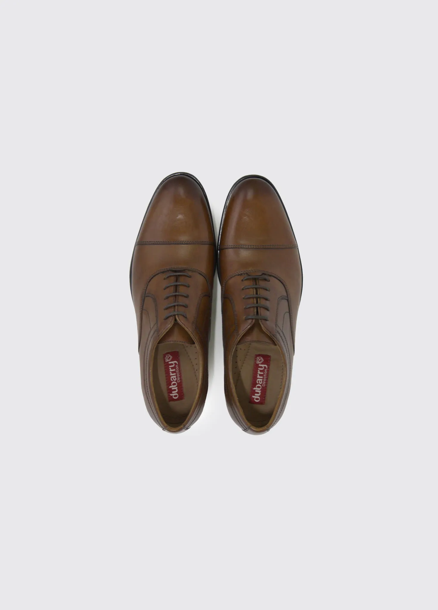 Darly Laced Oxford Style Shoe - Chestnut