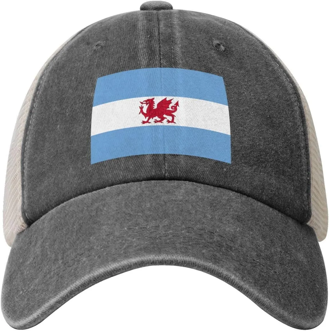 Flag of The Welsh Colony in Patagonia Baseball Cap Women Men Mesh Back Denim Hat Vintage Trucker Hats Dad Caps