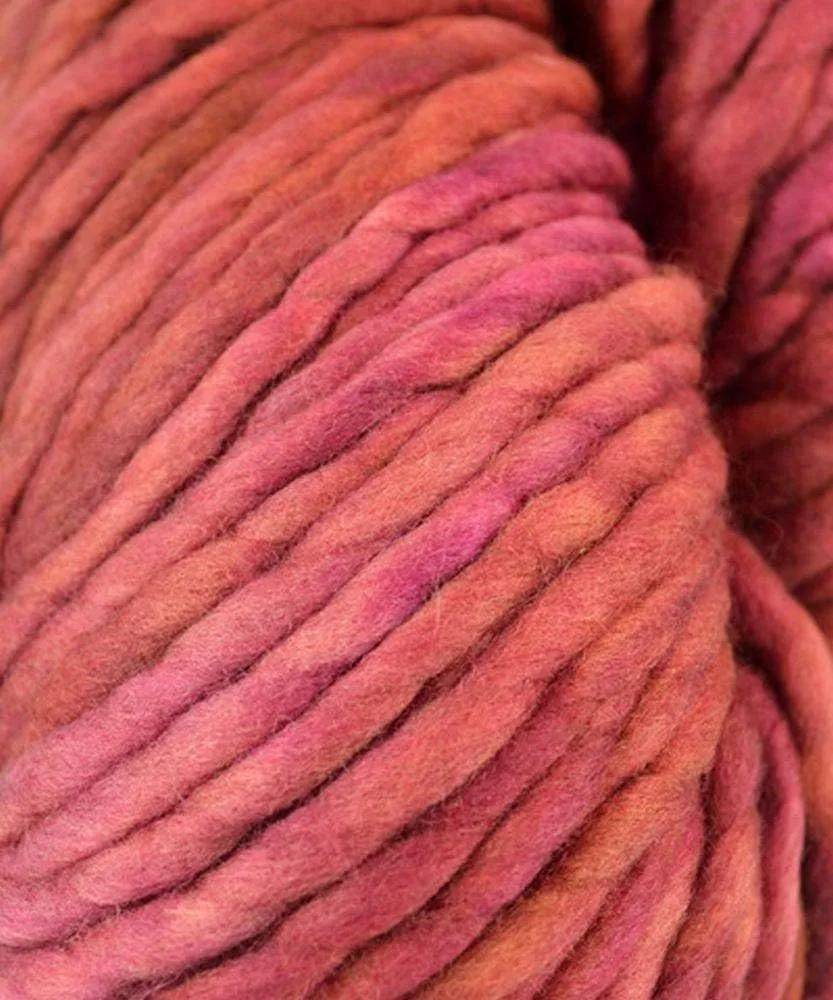 Malabrigo Rasta Yarn 866 Arco Iris