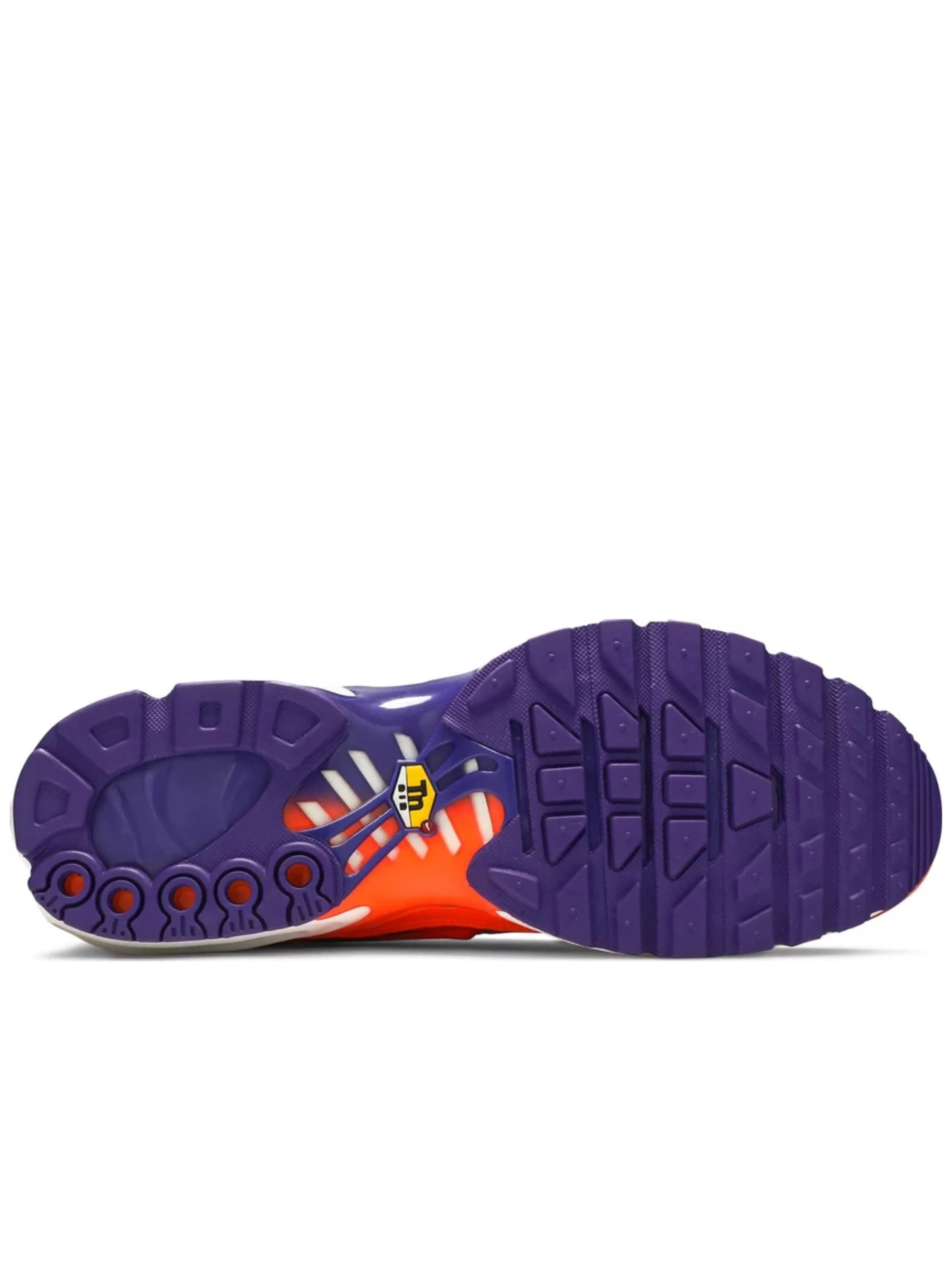 Nike Air Max Plus Color Flip Pack Black  CI5924-061