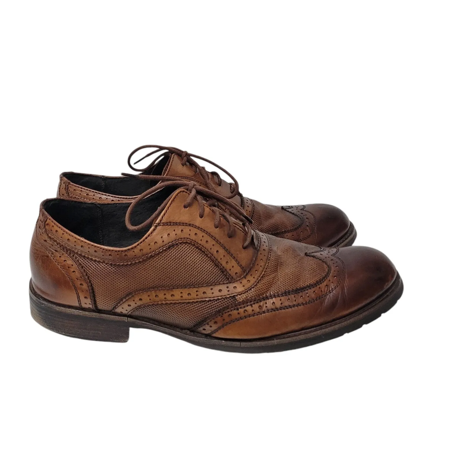 Pre-owned  Persey Men's. 11.5. Wingtip Best-selling collection Madden Oxford Size Steve Practical Leather Shoes